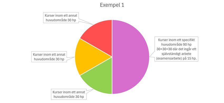 Cirkeldiagram som beskriver ett exempel på vad en kandidatexamen kan bestå av