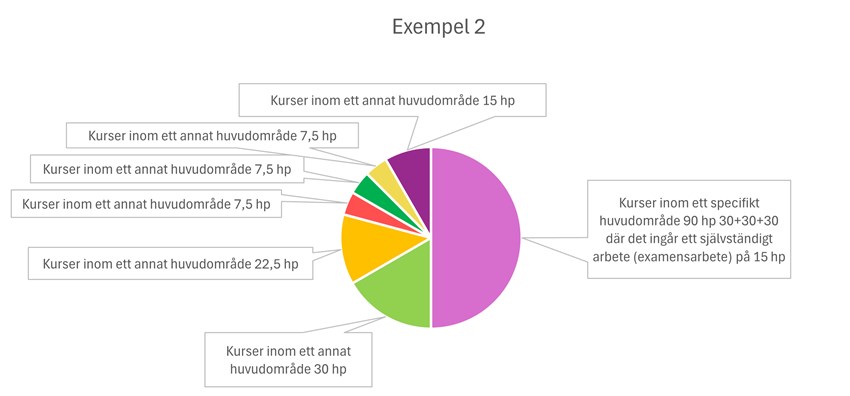 Cirkeldiagram som beskriver ett exempel på vad en kandidatexamen kan bestå av