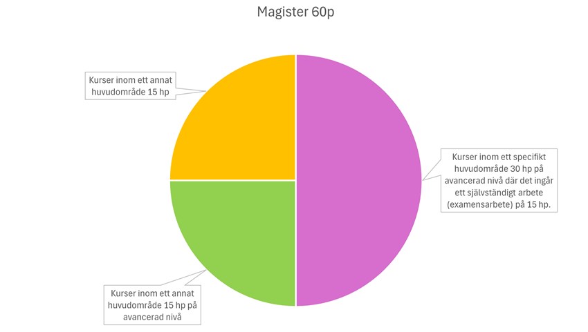 Cirkeldiagram som visar ett exempel på vad en magisterexamen kan bestå av