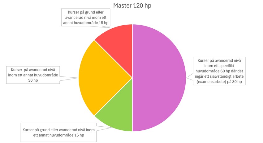 Cirkeldiagram som ger exempel på vad en masterexamen kan bestå av