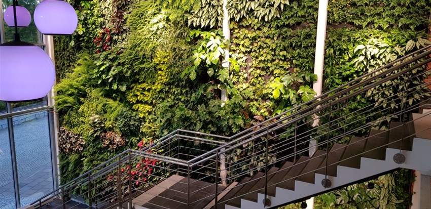Bild på växtväggen i högskolans entré