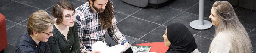 Students studying at the university.