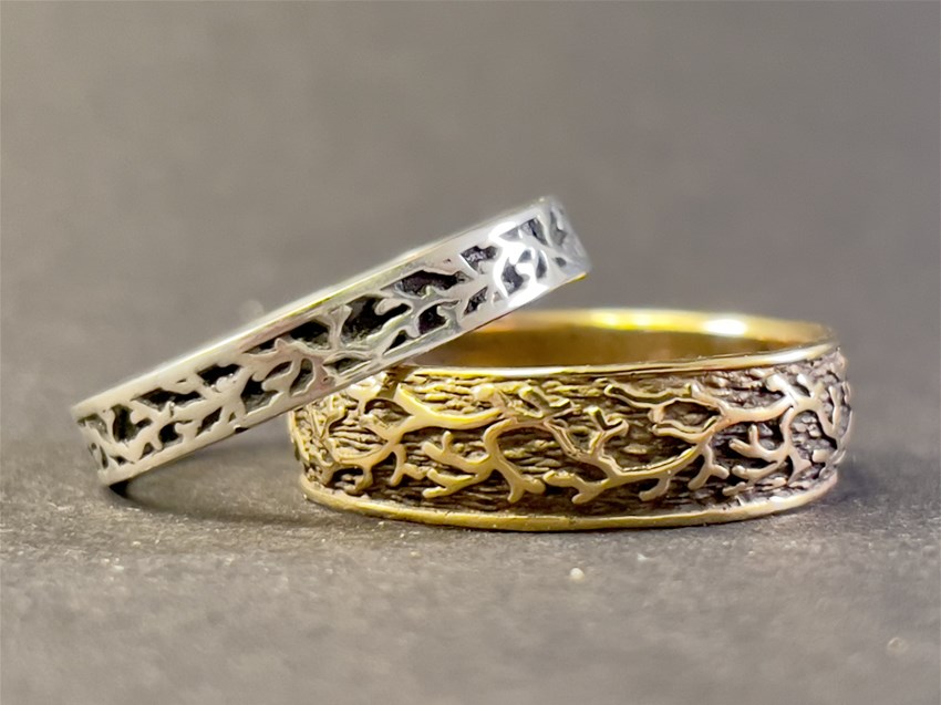 Masterring och doktorsring