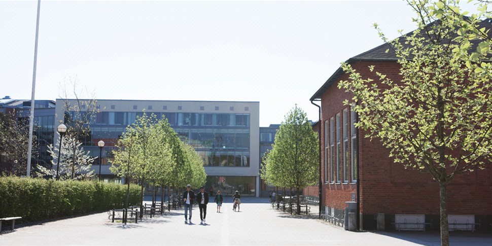 Högskolans byggnader, entrén mot Drottningtorget. Foto