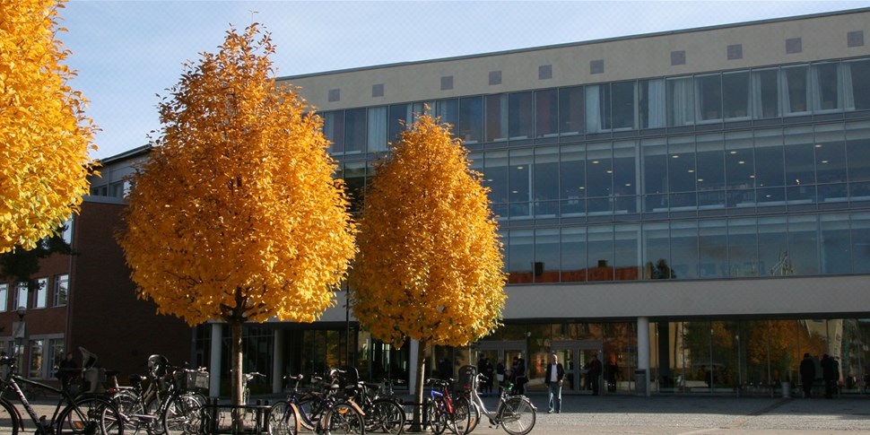 Högskolans byggnad, entré mot Drottningtorget. Cyklar och träd. Foto.