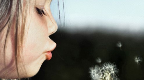 En flicka blåser bort frökapslar från maskros. Foto