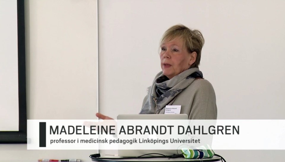 Madeleine Abrandt Dahlgren VILÄR 2016