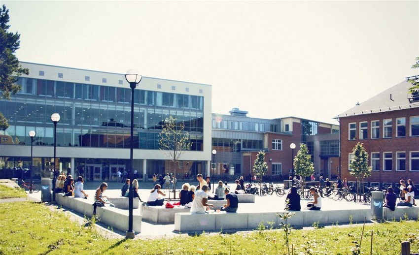 Vy över campus. Sommar. Studenter sitter utomhus. Foto