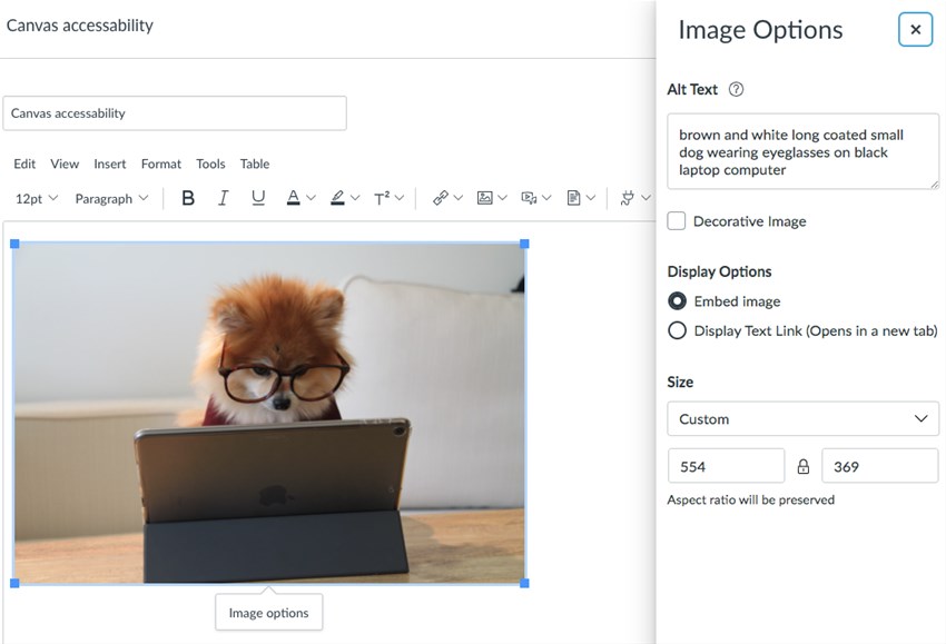 Embedding picture in Canvas and alt-text settings