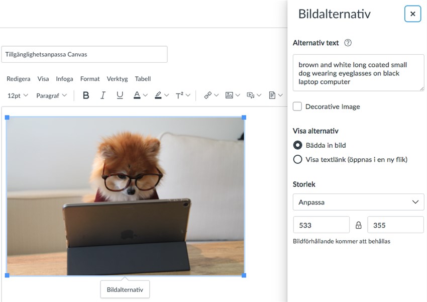 Inbäddning av bild i Canvas och inställning av alt-text till bild