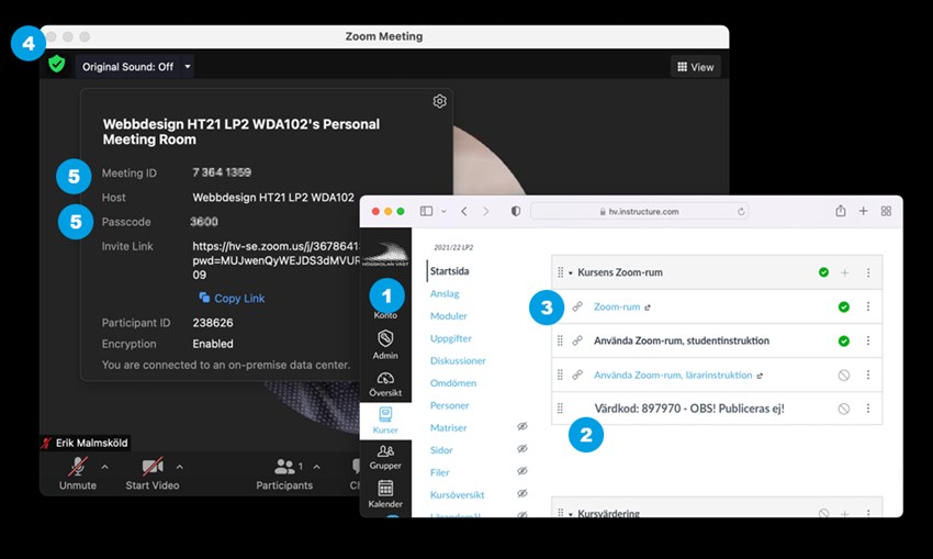 Information som hämtas i Canvas för att kunna ansluta till Zoom