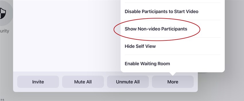 Visa deltagare utan video