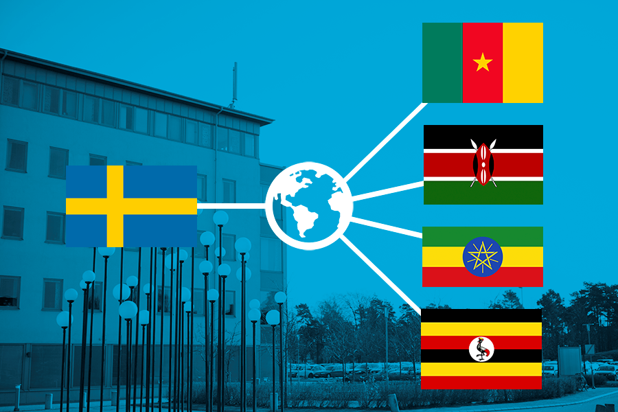 Image symbolizing collaboration with Africa