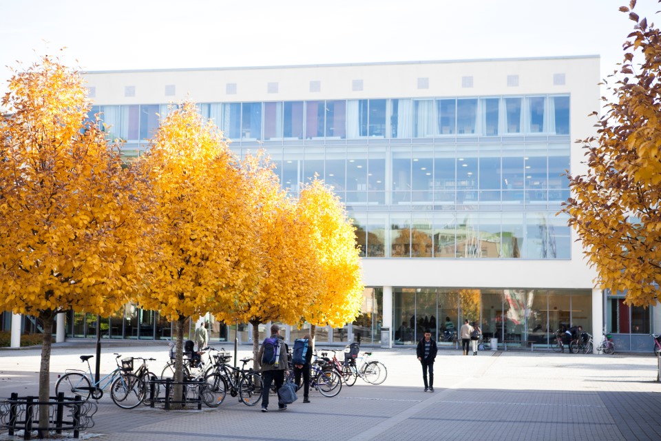 Träd i höstfärger utanför en av entréerna på campus