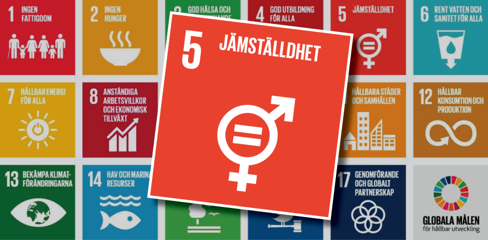 Globala målen fokus jämställdhet