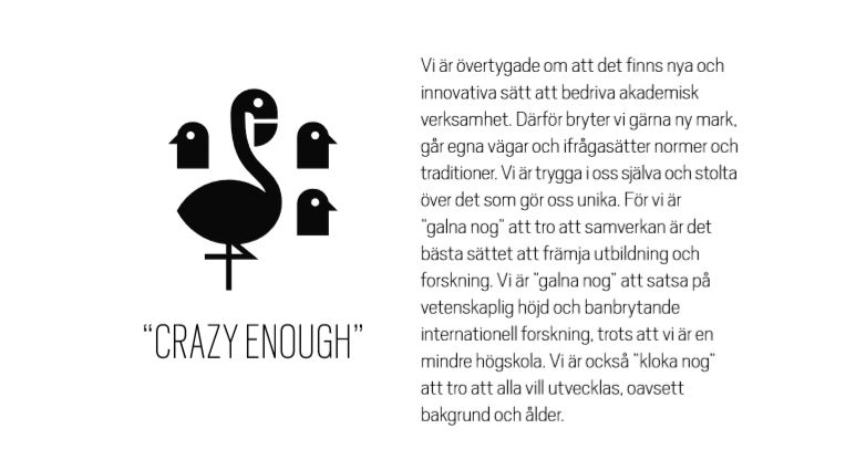 Ilustration av pelikaner