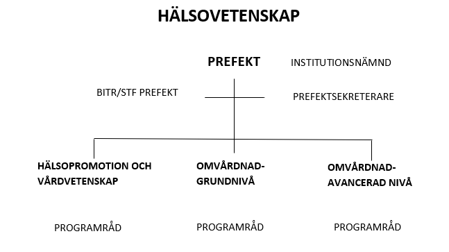Organisationsbild för Institutionen för Hälsovetenskap