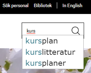 Sökruta med exempel på en sökning