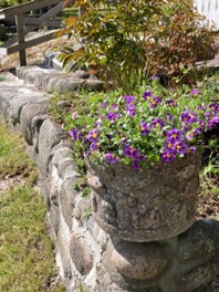 Blommor vid en stenmur