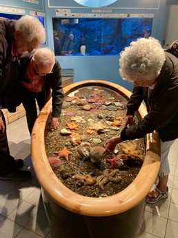 Besökare tittar på havsväxter i Tjärnö Marina Laboratorium