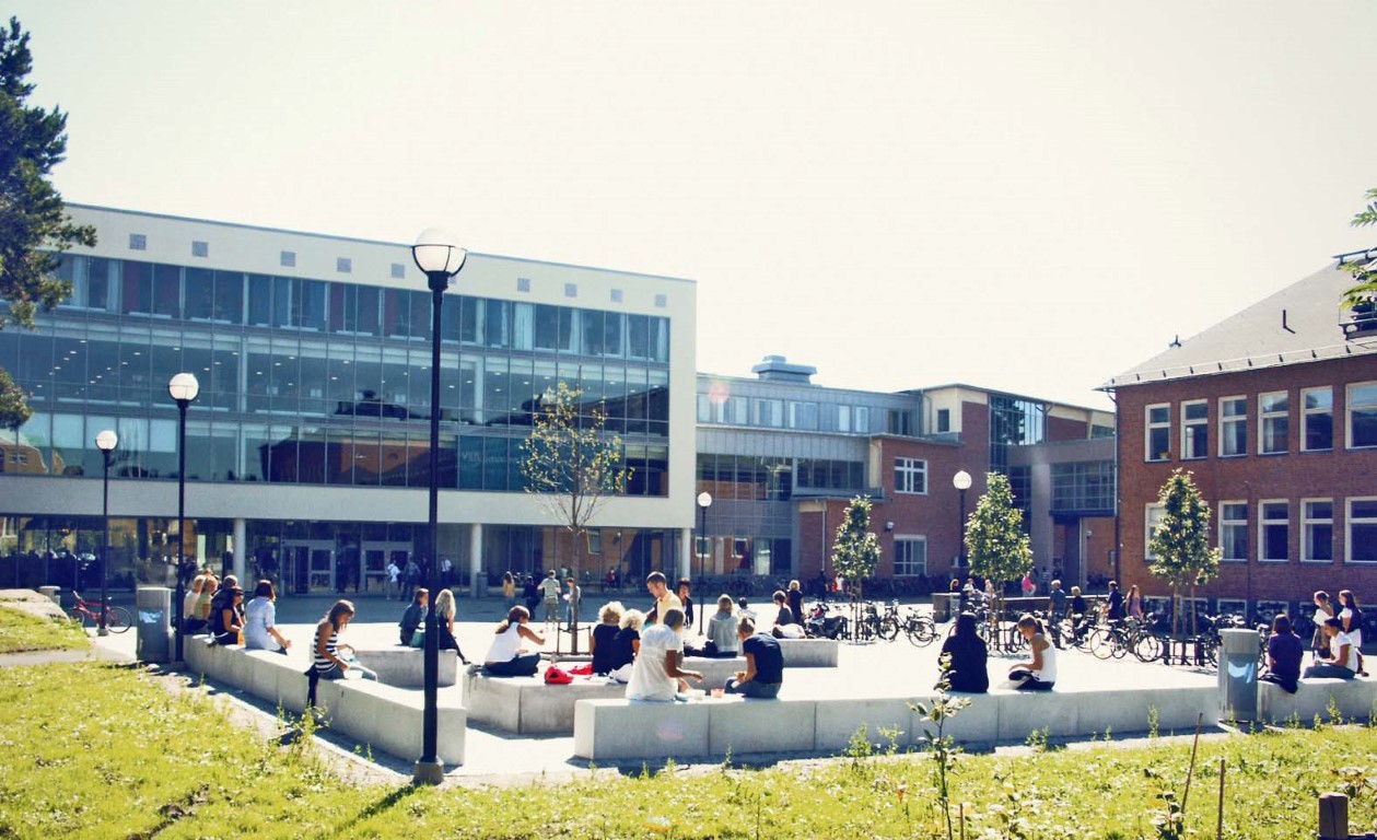 Vy över campus. Sommar. Studenter sitter utomhus. Foto